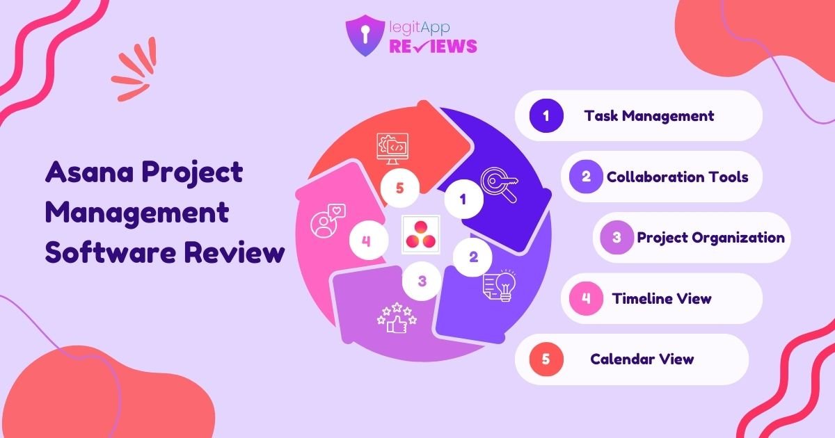 Asana Project Management Software Review 2024